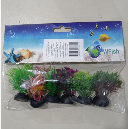 Wfish Lote com 6 Plantas - 5cm