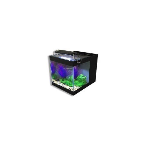 aquario aquario