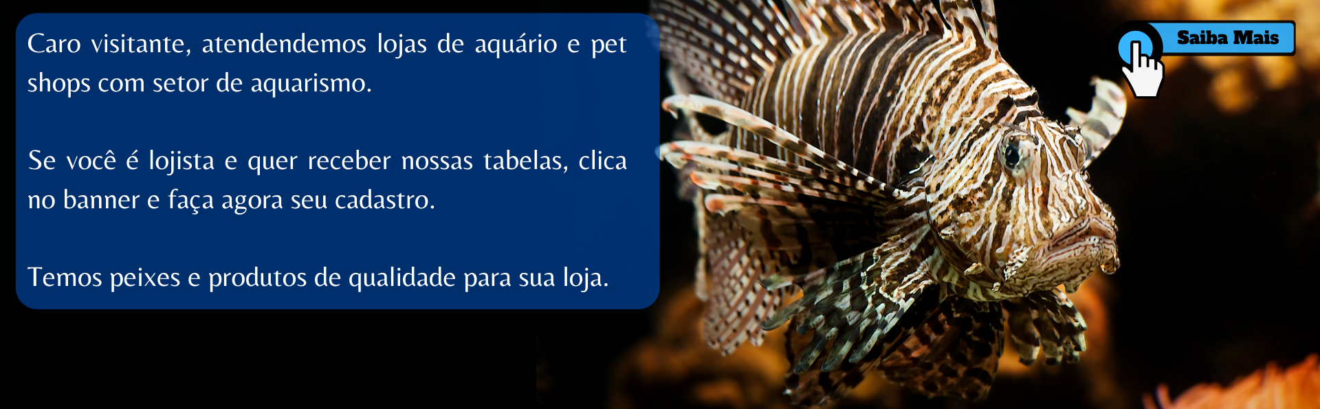 Cobrinha Kuhli  O Mundo dos Peixes - Peixe e Peixes Brasil